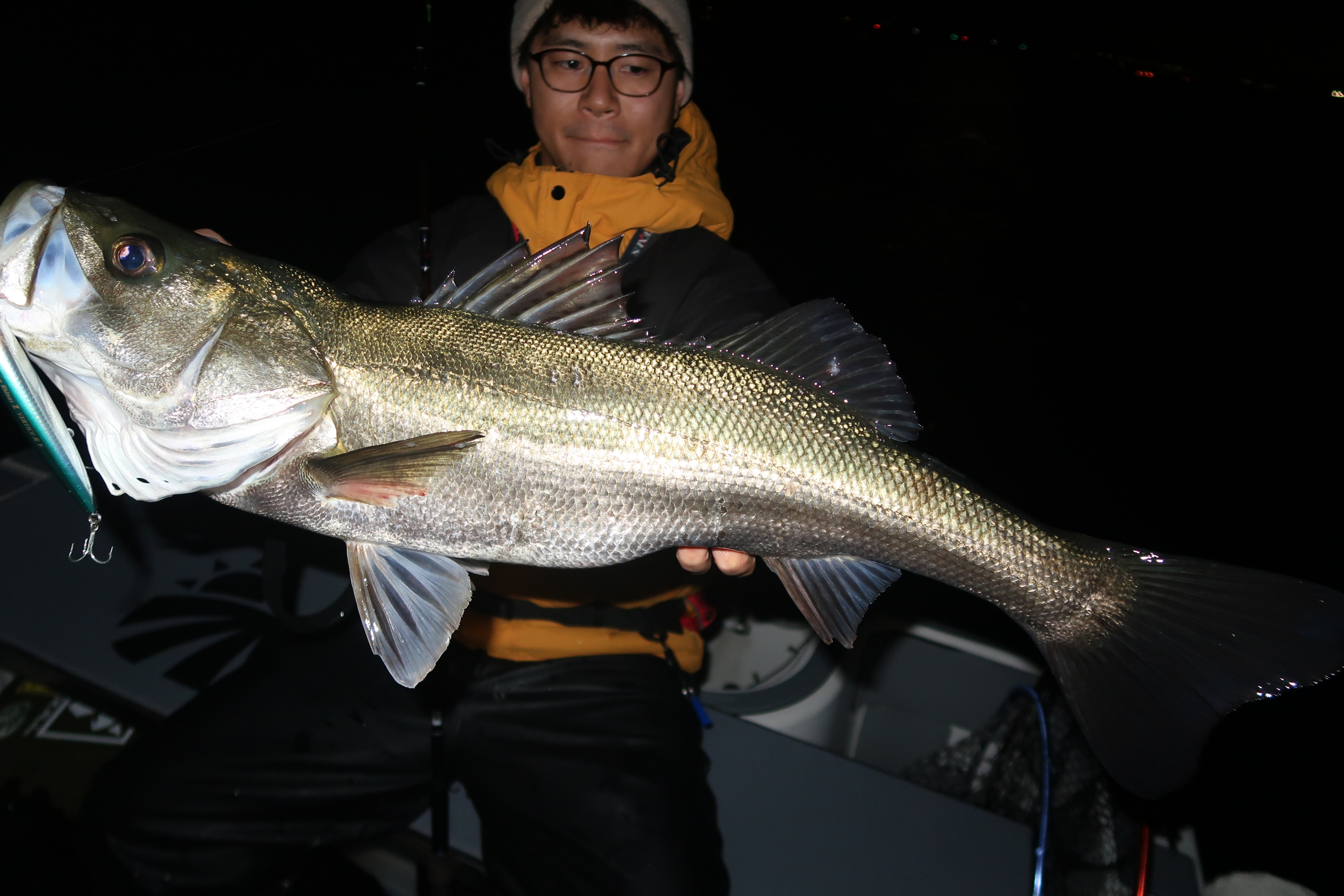 11月27日〜28日釣果情報！！ : TOKYOBAY FISHING GUIDE SERVICE Glory