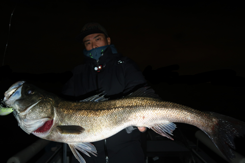 sketch-1667669465536