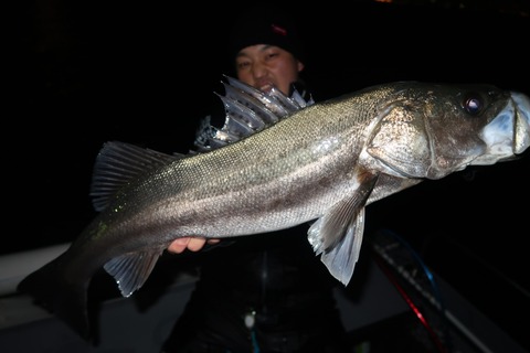 20200213225840_IMG_7505