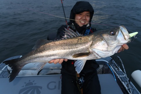 20201007172237_IMG_0461