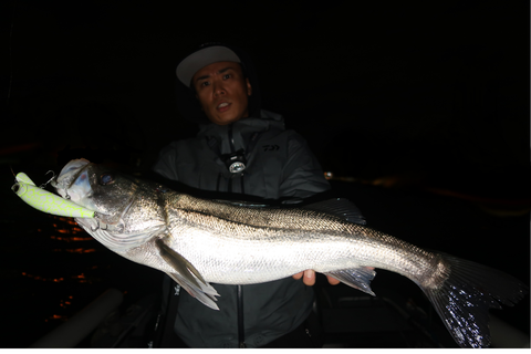 sketch-1603482083492