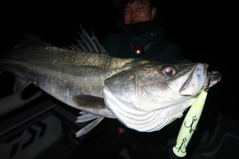 20221214231141_IMG_4131