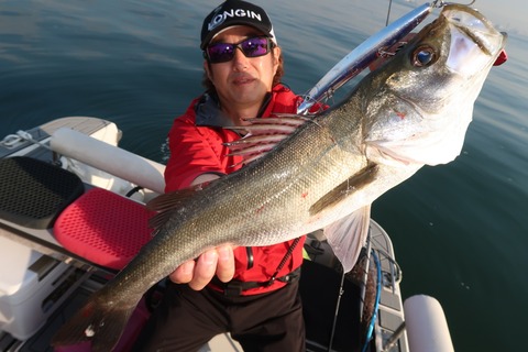 20201013073812_IMG_0534