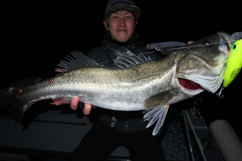 20221214220107_IMG_4127