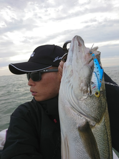 [画像:81f6bd68-s.jpg]