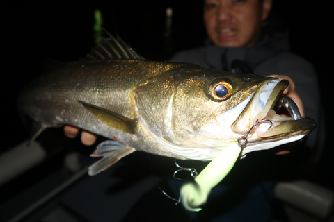 sketch-1760380383692