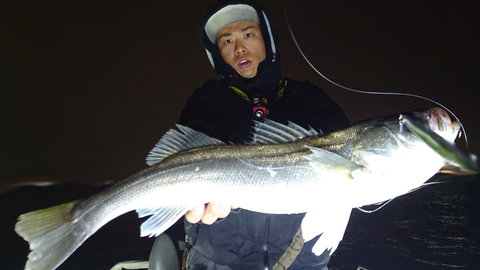 sketch-1547315912862