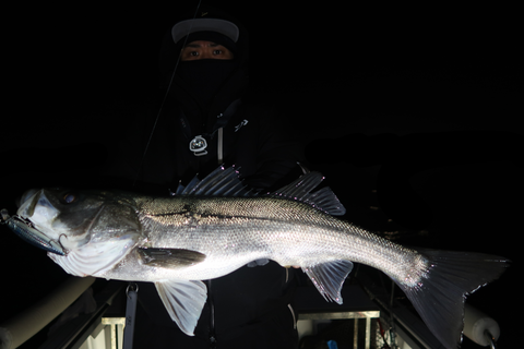 sketch-1645716636185