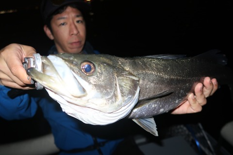 20240427201851_IMG_1283