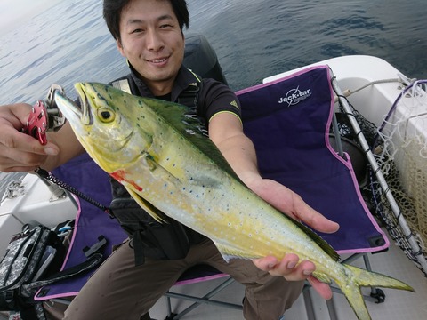 [画像:839178db-s.jpg]