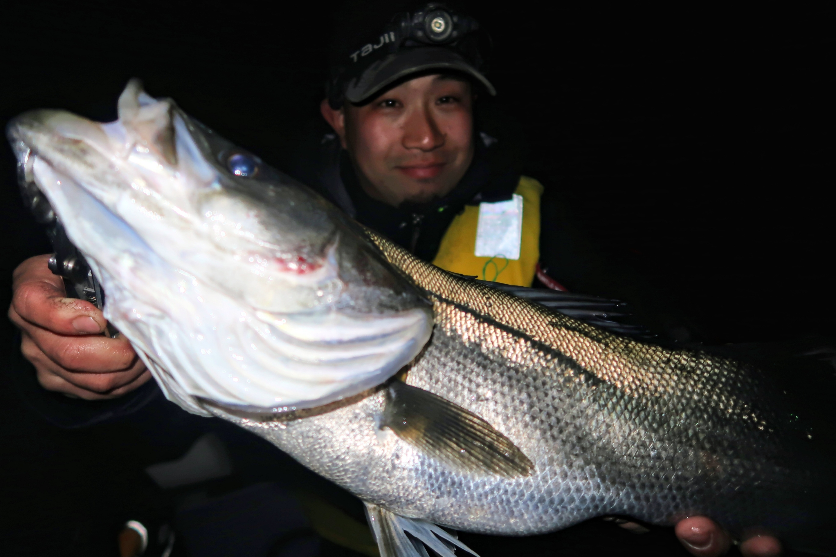 孤高の釣り師 1月26日〜27日釣果情報！！ : TOKYOBAY FISHING GUIDE SERVICE Glory