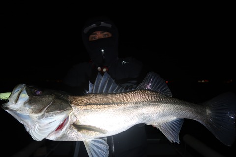 20240117201836_IMG_9699