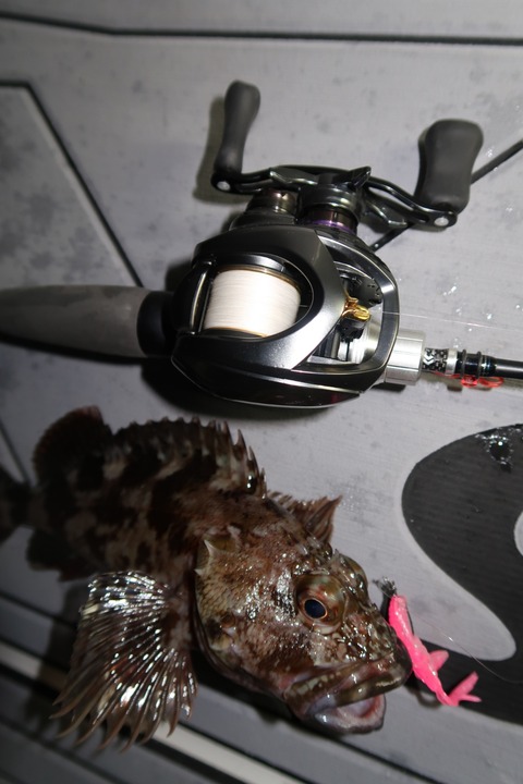 20200203234601_IMG_7330