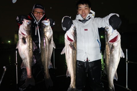 20200304233908_IMG_7878