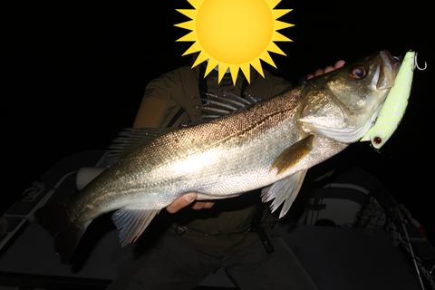 sketch-1603482306122