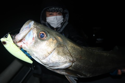 20221114235816_IMG_3308