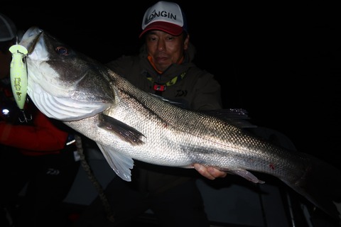 20221108231052_IMG_3076