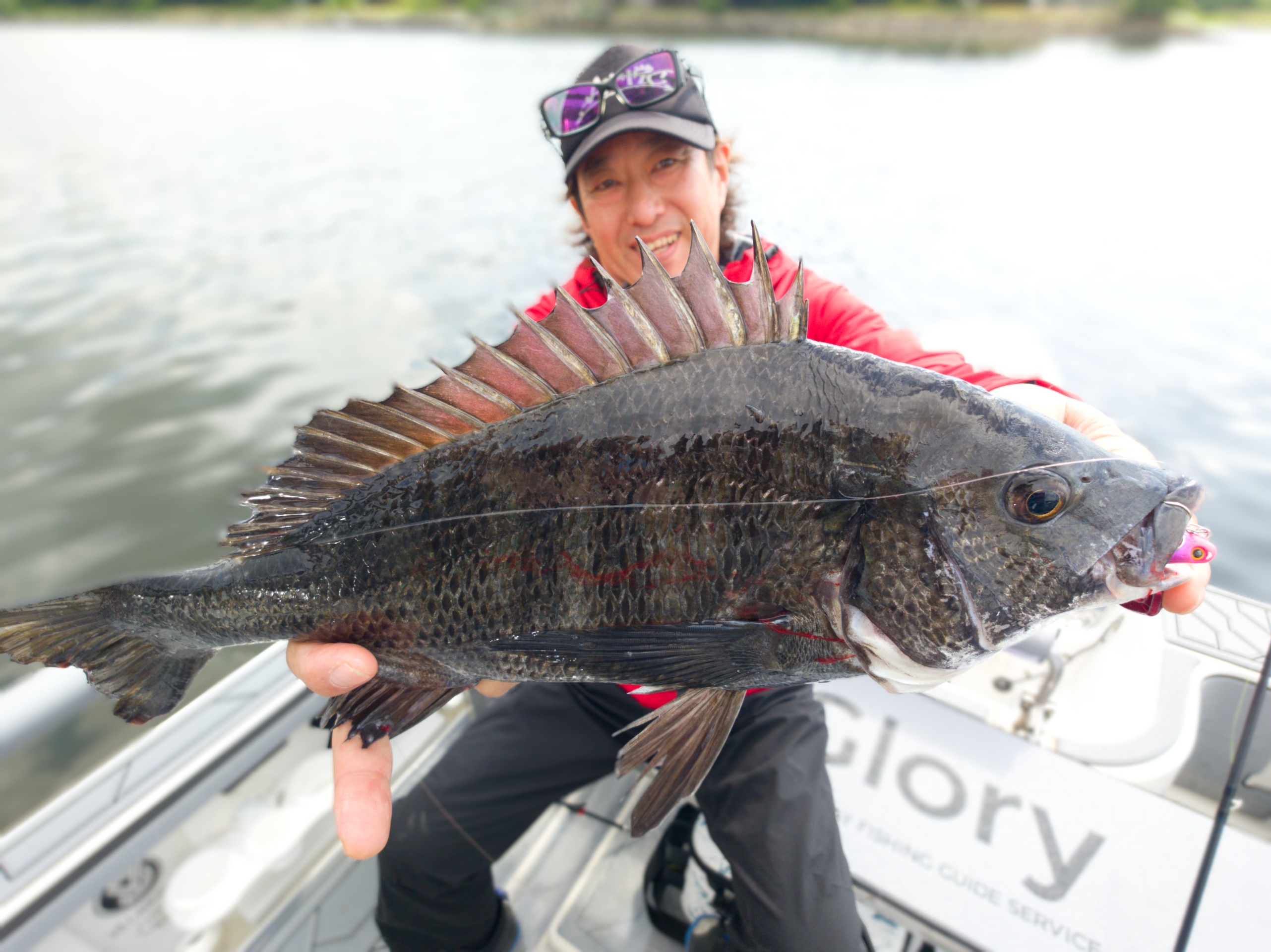 5月12日釣果情報！！ : TOKYOBAY FISHING GUIDE SERVICE Glory