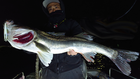 sketch-1548188312099