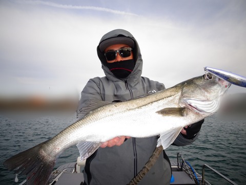 ぼかし丸_20191215_181049