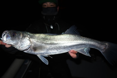 20221223204618_IMG_4249