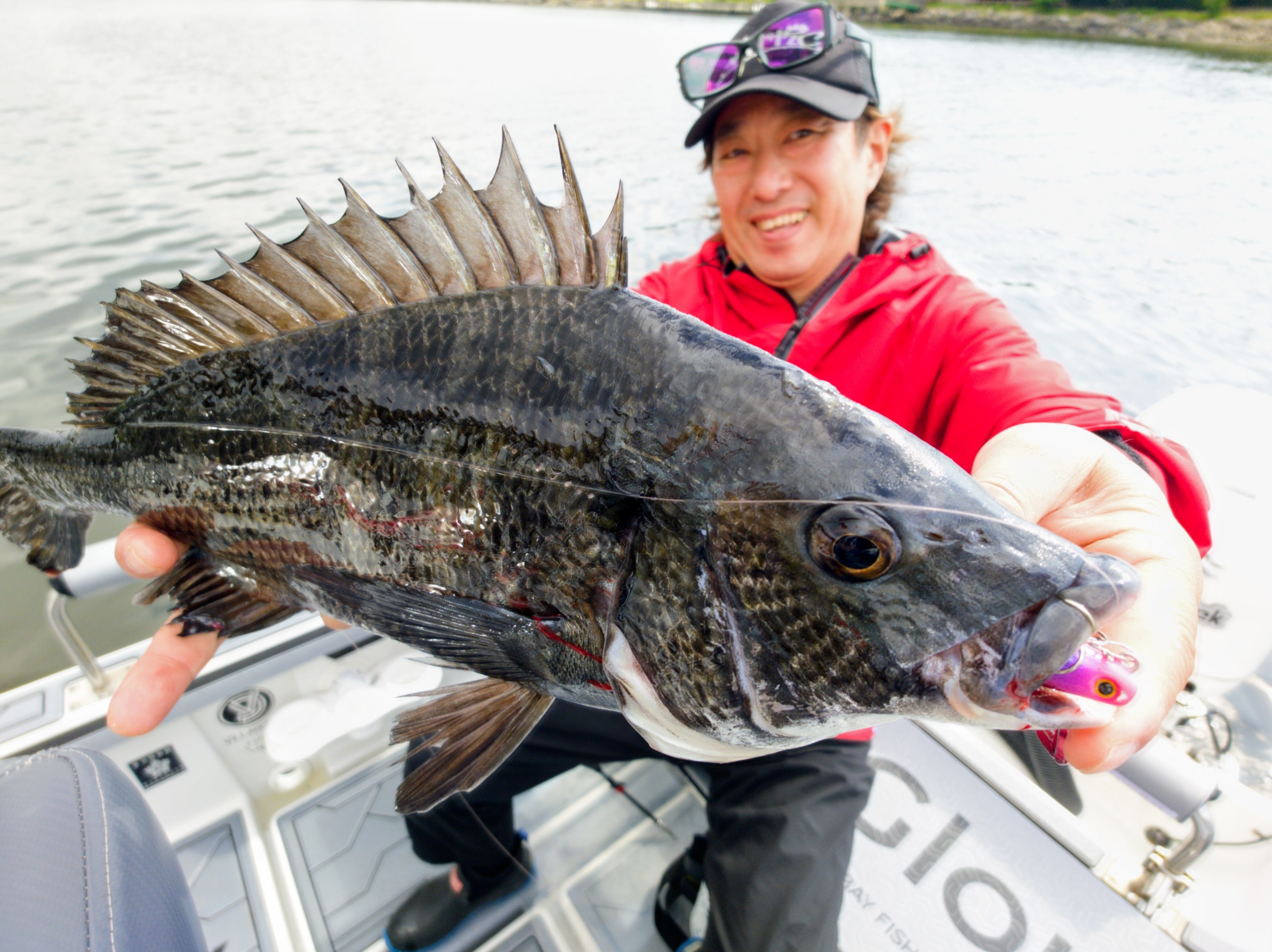 5月12日釣果情報！！ : TOKYOBAY FISHING GUIDE SERVICE Glory