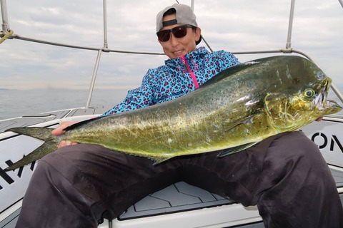 sketch-1594634975201