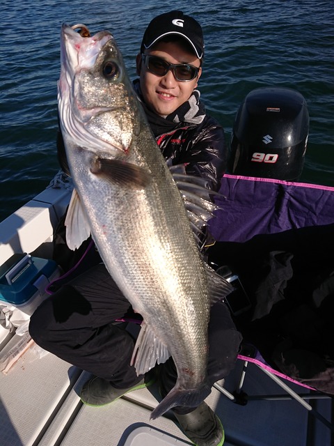 [画像:87606bf7-s.jpg]