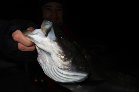 20200125234115_IMG_7275