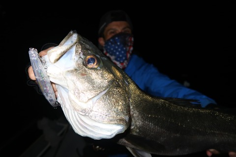 20200530033527_IMG_9098