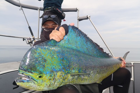 20210706091558_IMG_5494