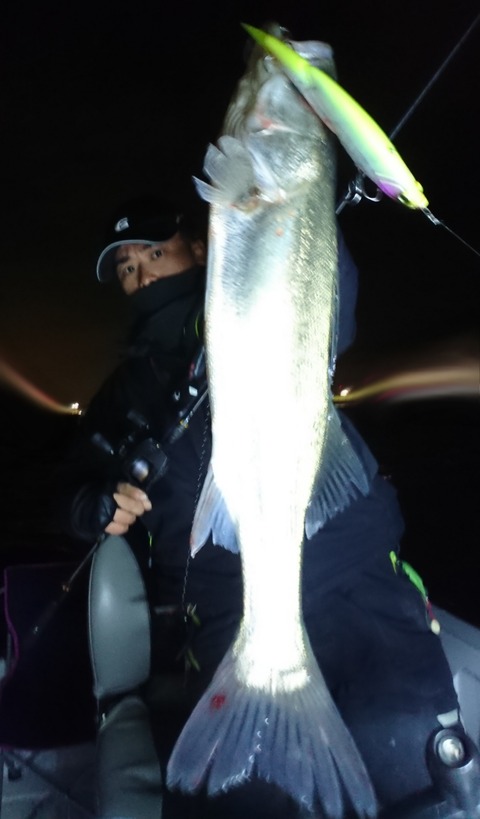 [画像:87c5fdff-s.jpg]