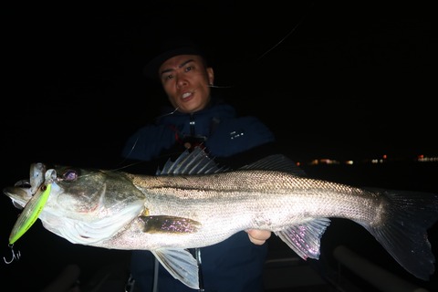 20240427203807_IMG_1290