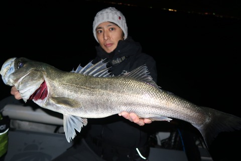 20200320231536_IMG_8026_1