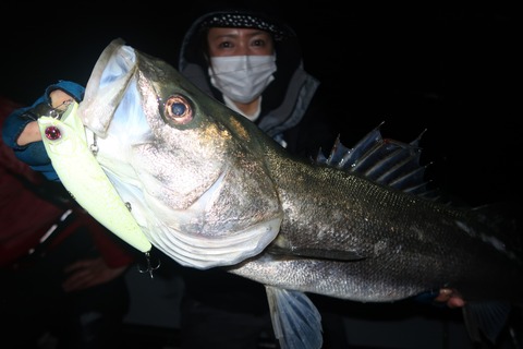 20221115003851_IMG_3322