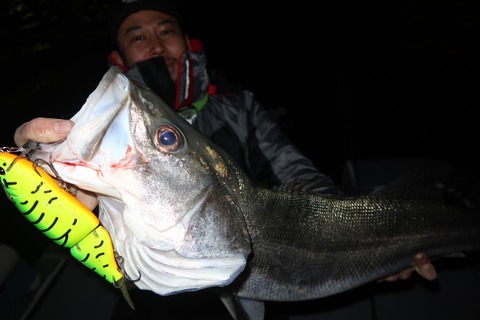 20221221000954_IMG_4233