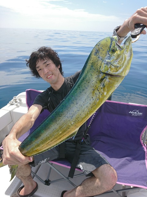 [画像:8adab614-s.jpg]