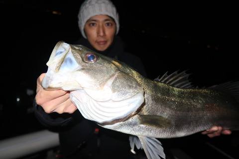 20200320231546_IMG_8028_1