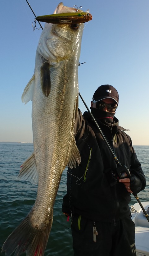 [画像:8ba2b36c-s.jpg]