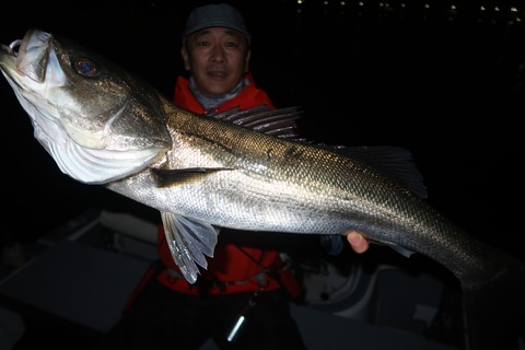 20240404193317_IMG_0817