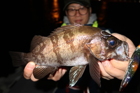 20200425222533_IMG_8565