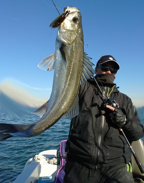 [画像:8c3017ac-s.jpg]