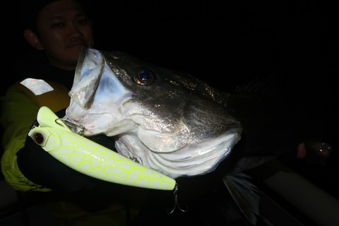 20240406212837_IMG_0886