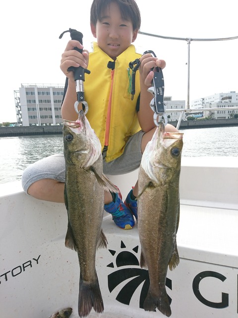 [画像:8d4eb3d2-s.jpg]