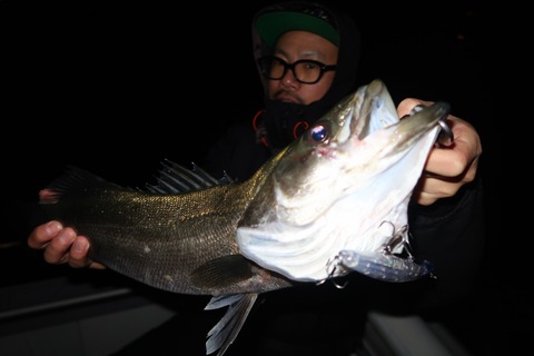 20200215204400_IMG_7530