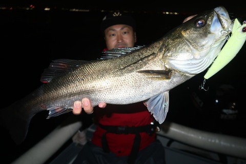 20240427215206_IMG_1304