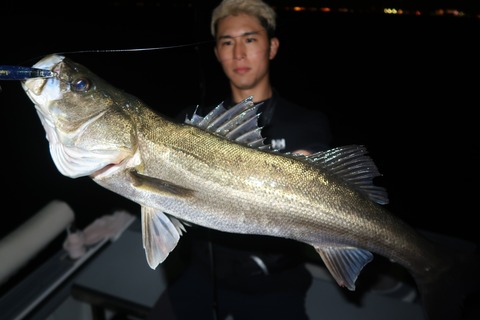 20240425195210_IMG_1213