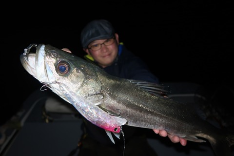 20221024023309_IMG_2672