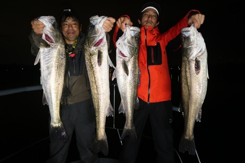 20201026204253_IMG_0888