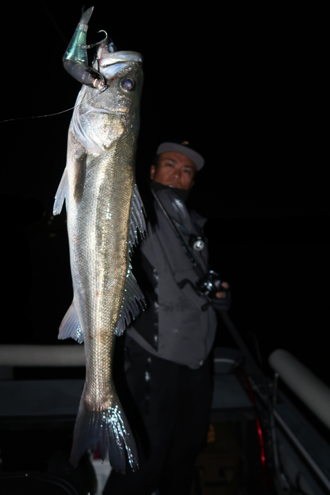 sketch-1635016503372